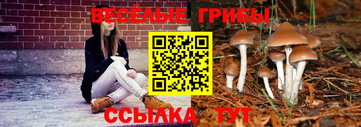 Усинск  Галлюциногенные грибы Magic Shrooms  Вход с VPN 